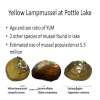 Slide7